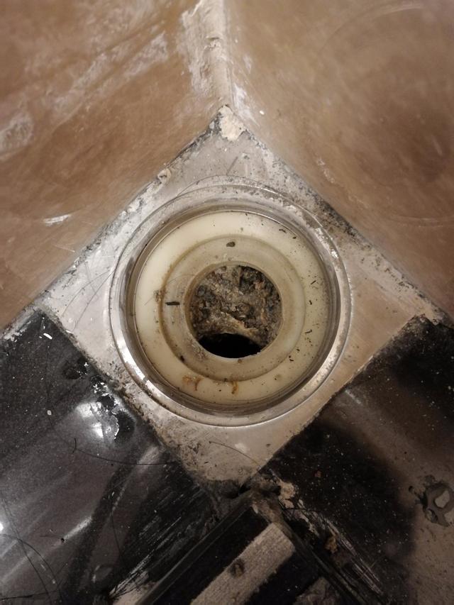 地漏和下水管不能有断层,地漏没堵但下水反水小妙招