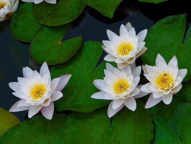 30句为人处世格言句句正能量,为人处世必读的励志名言集锦