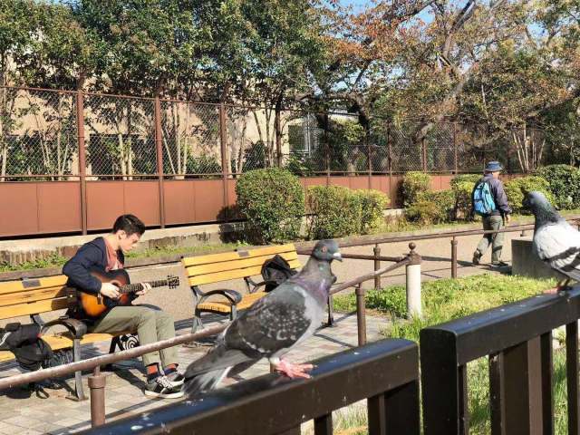 东京到镰仓和箱根攻略,东京箱根富士山镰仓