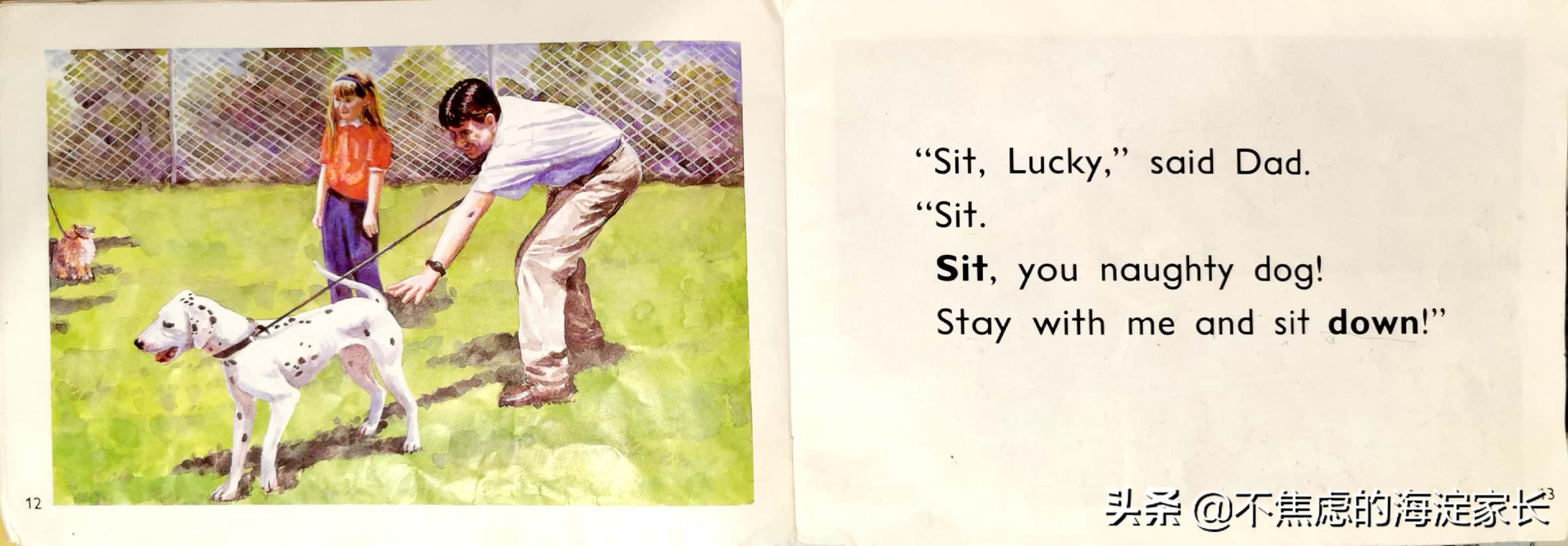 新西兰小学生阅读书单排名,新西兰小学阅读教材每日一本