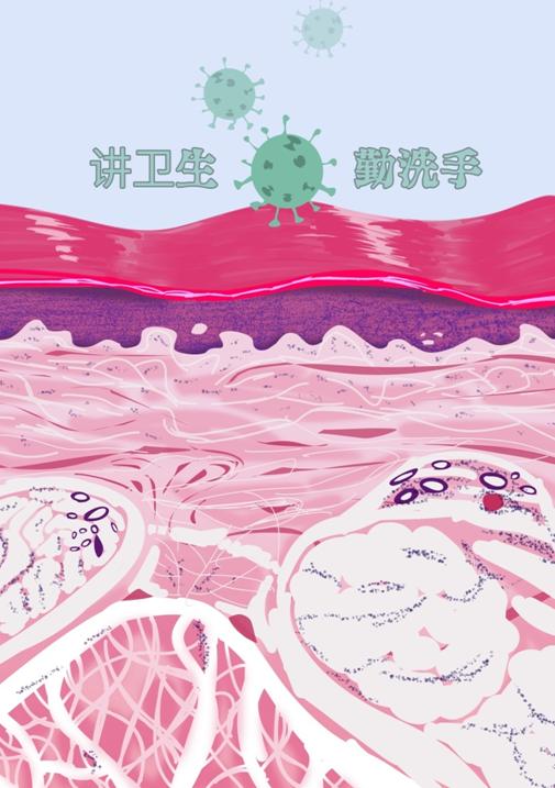 生命的故事绘本电子版,生命的故事图片