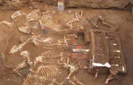 盗墓贼大多短命，真的是报应吗？