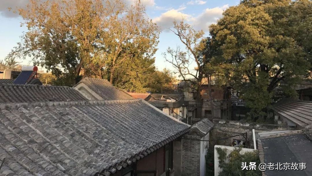 身份证110开头是什么意思,身份证110开头的为什么不是北京的