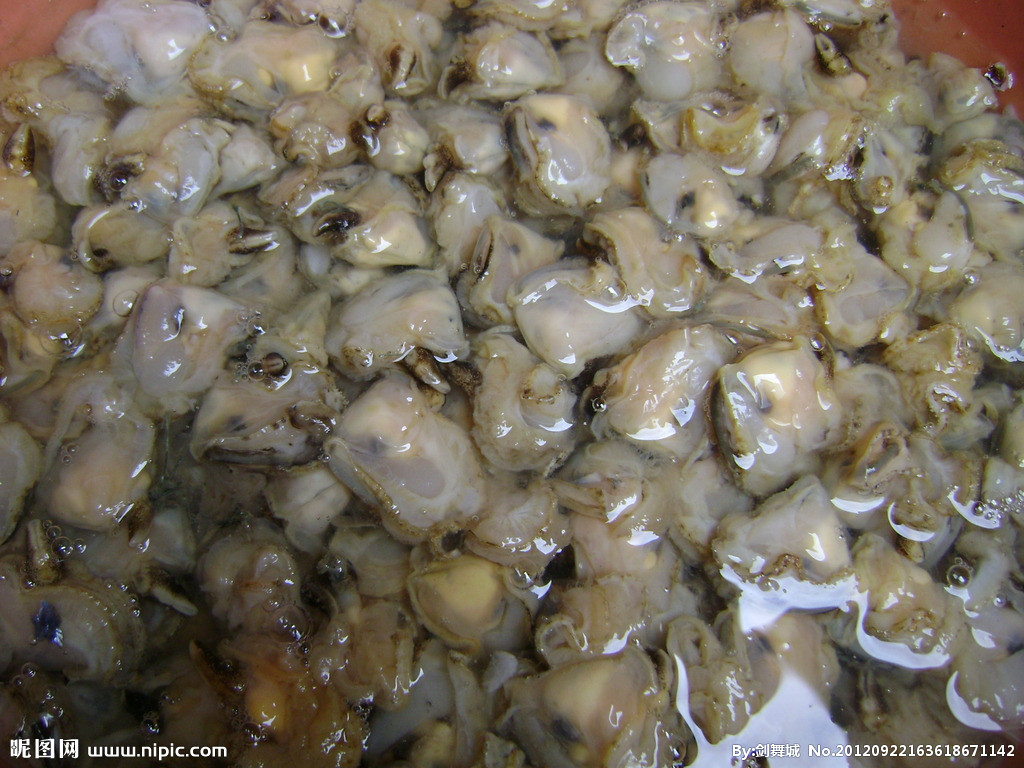 珍珠贝里真的能吃到珍珠吗?本地人告诉你:这是真的