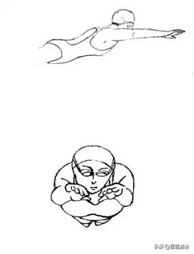 蛙泳怎么救人图解,梦觉蛙泳蹬腿时发力技巧图解