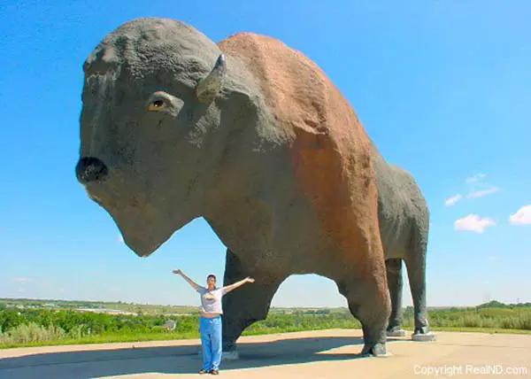 盘点奇葩美国车牌号,美国车牌为什么那么多图案