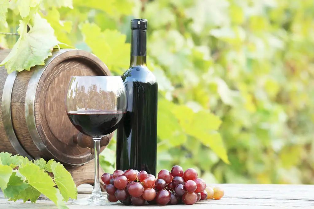 我国历史上“代购第一人”张骞，都带回了哪些西域宝贝？