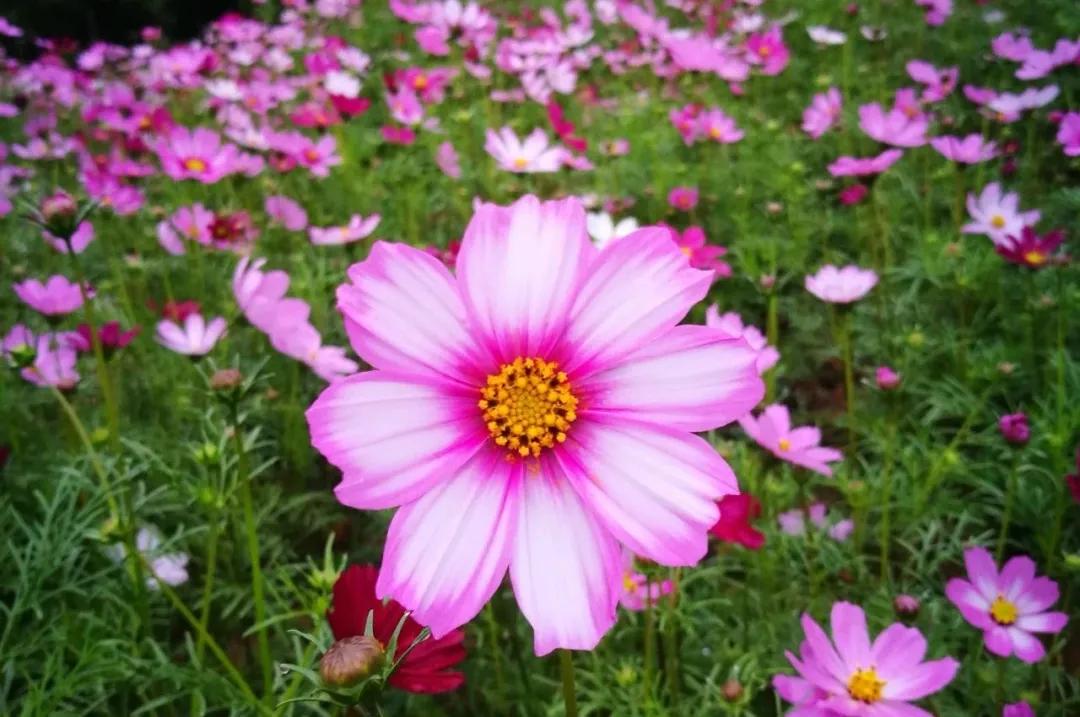 微时光田东,微时光美好生活