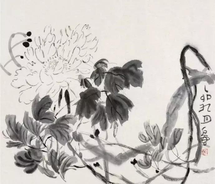 陈子庄画图片,看陈子庄的画有感