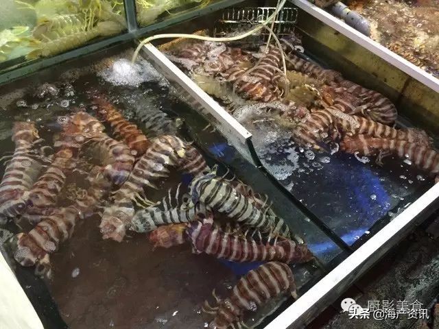 这些诱人的美食你吃过吗,世界上顶级海鲜大全你吃过几种