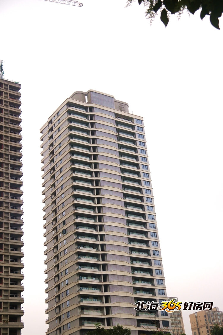 交房高品质,交房推荐楼盘