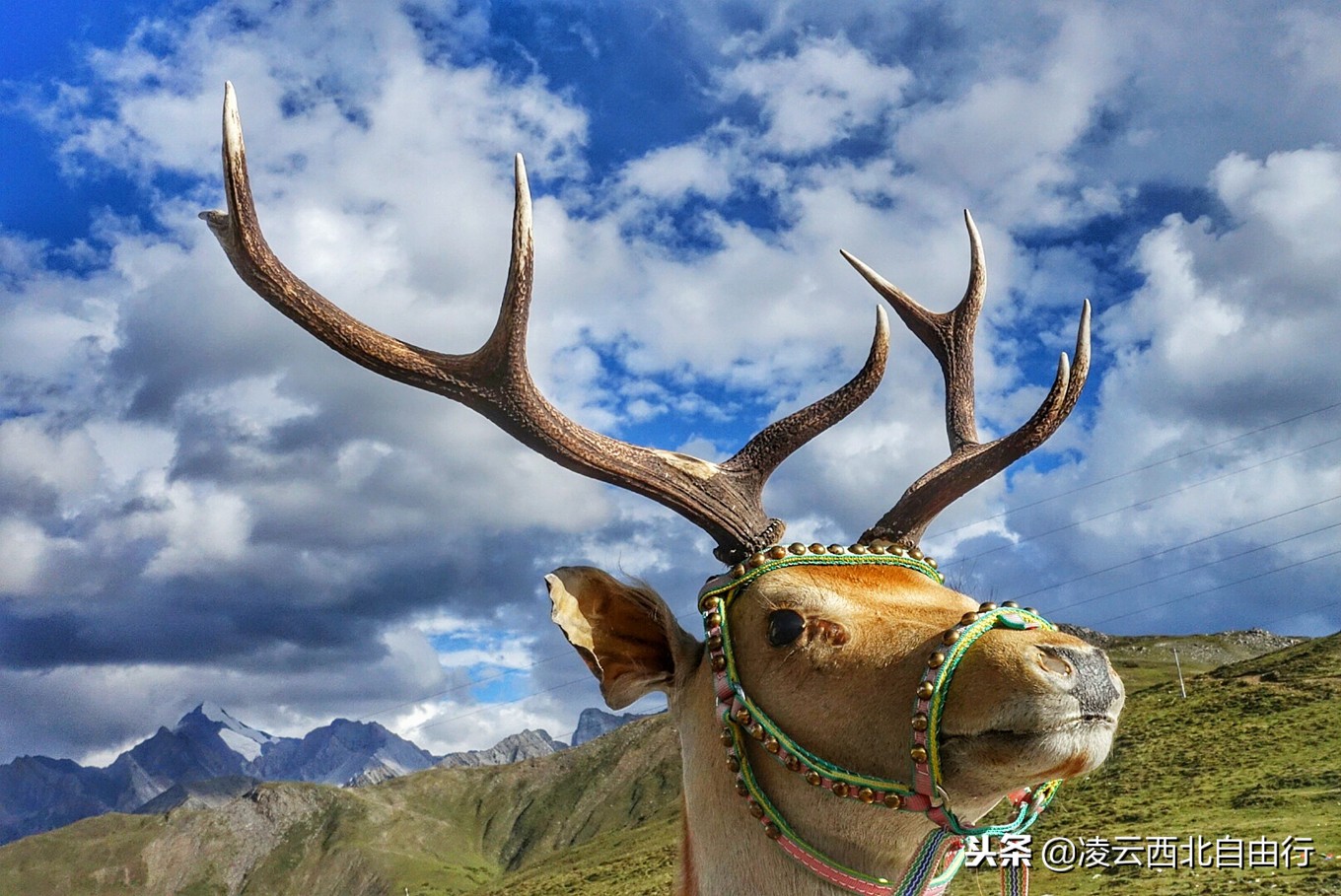 黄龙为什么被誉为中国好声音,黄龙十大风景区