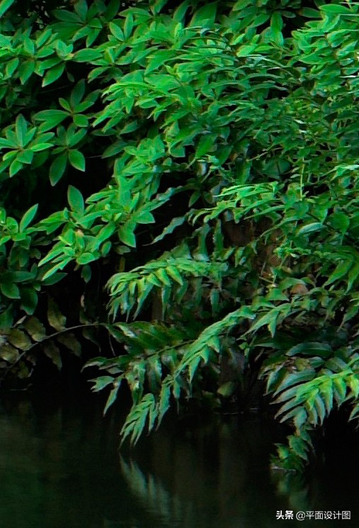 尼康和佳能全画幅怎么选,尼康18-135全画幅