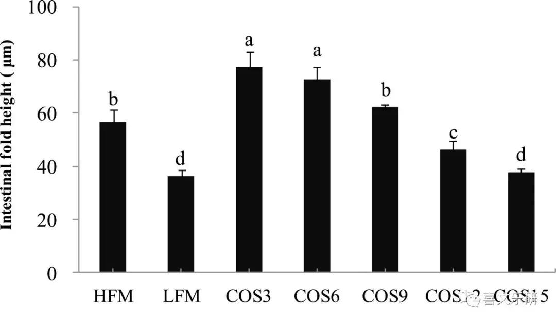 南美白对虾饲料增加,南美白对虾投喂饲料粗蛋白含量