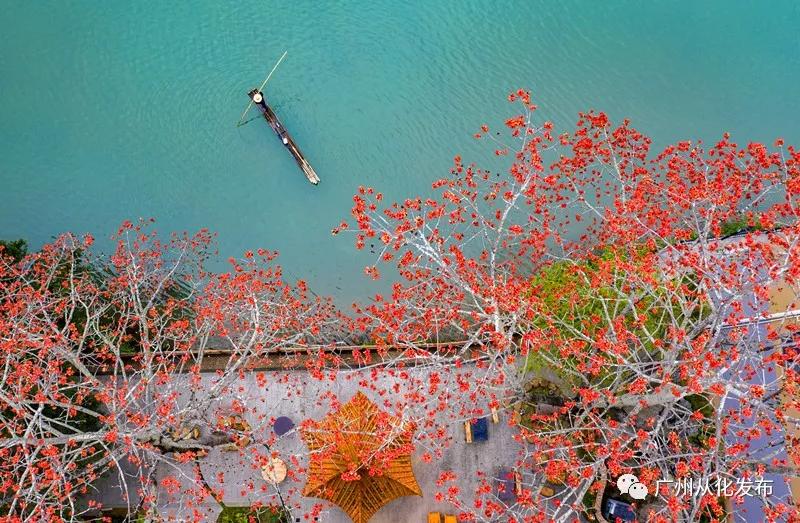 从化区未来5年碧道规划,从化区碧道规划图