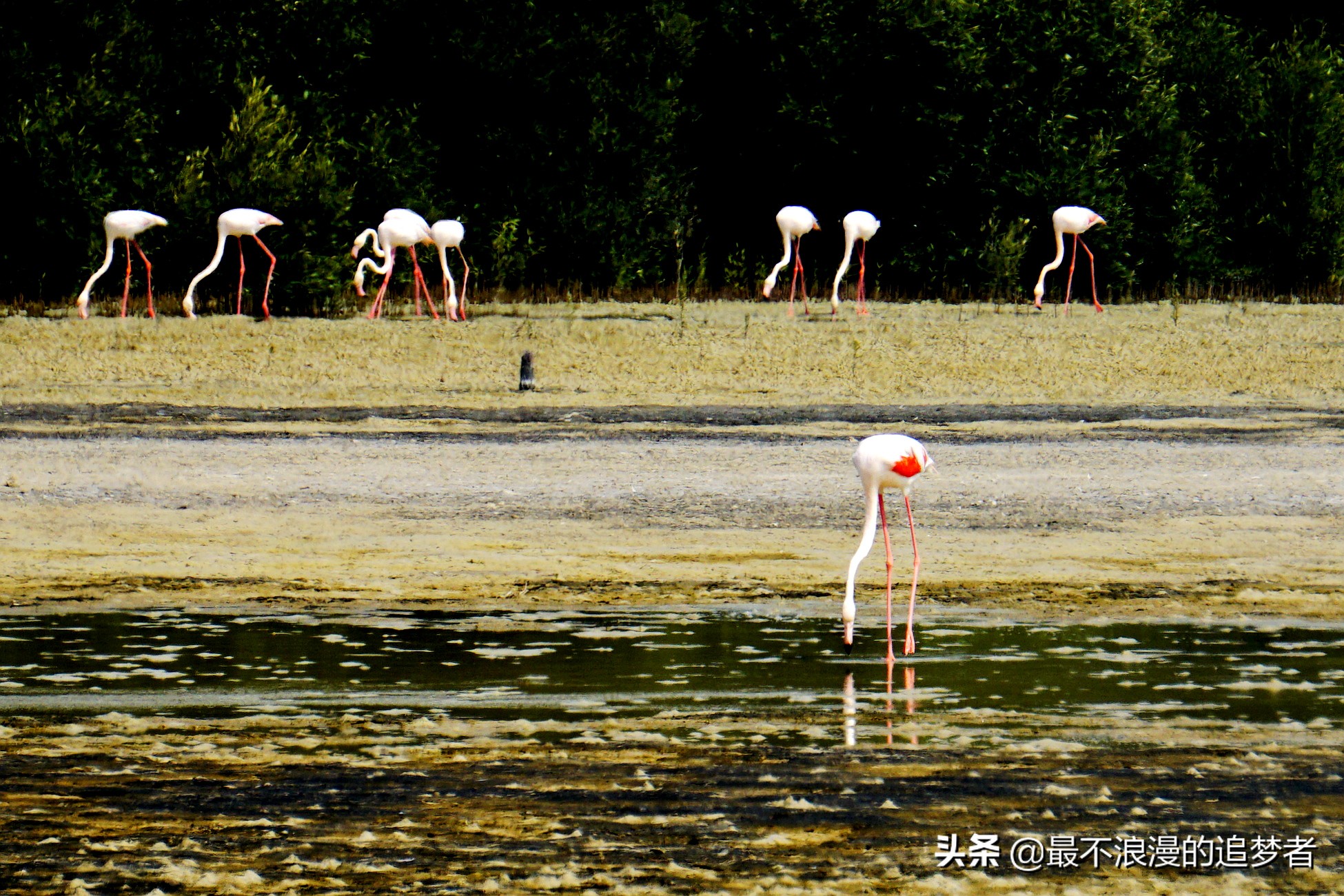 阿联酋迪拜的旅游感想,阿联酋迪拜旅游攻略