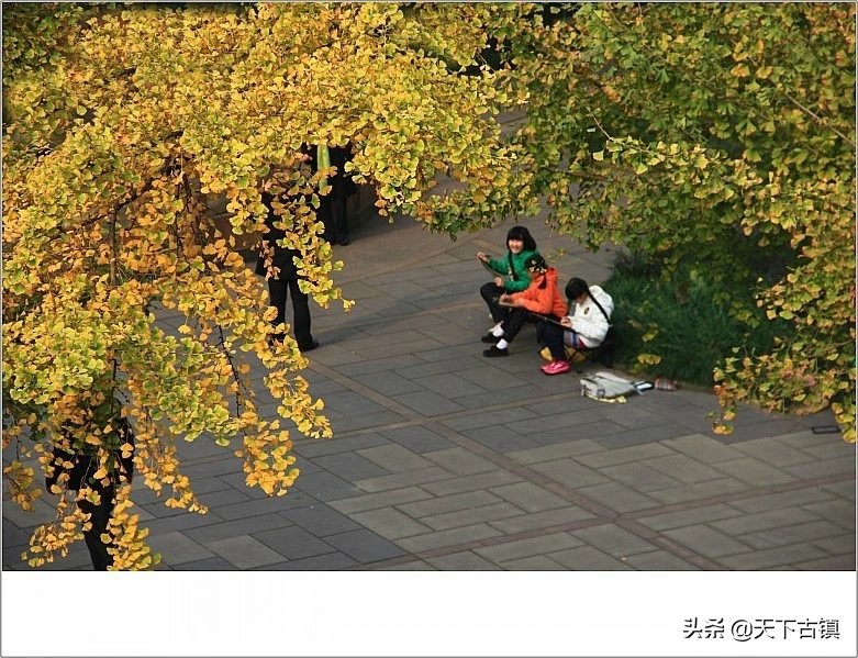 成都望江楼对联原文,天下名楼完整版