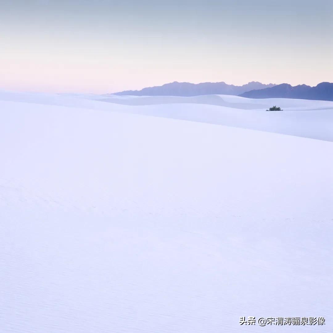 ipa国际动态摄影大赛获奖作品,2020年ipa摄影奖获奖作品