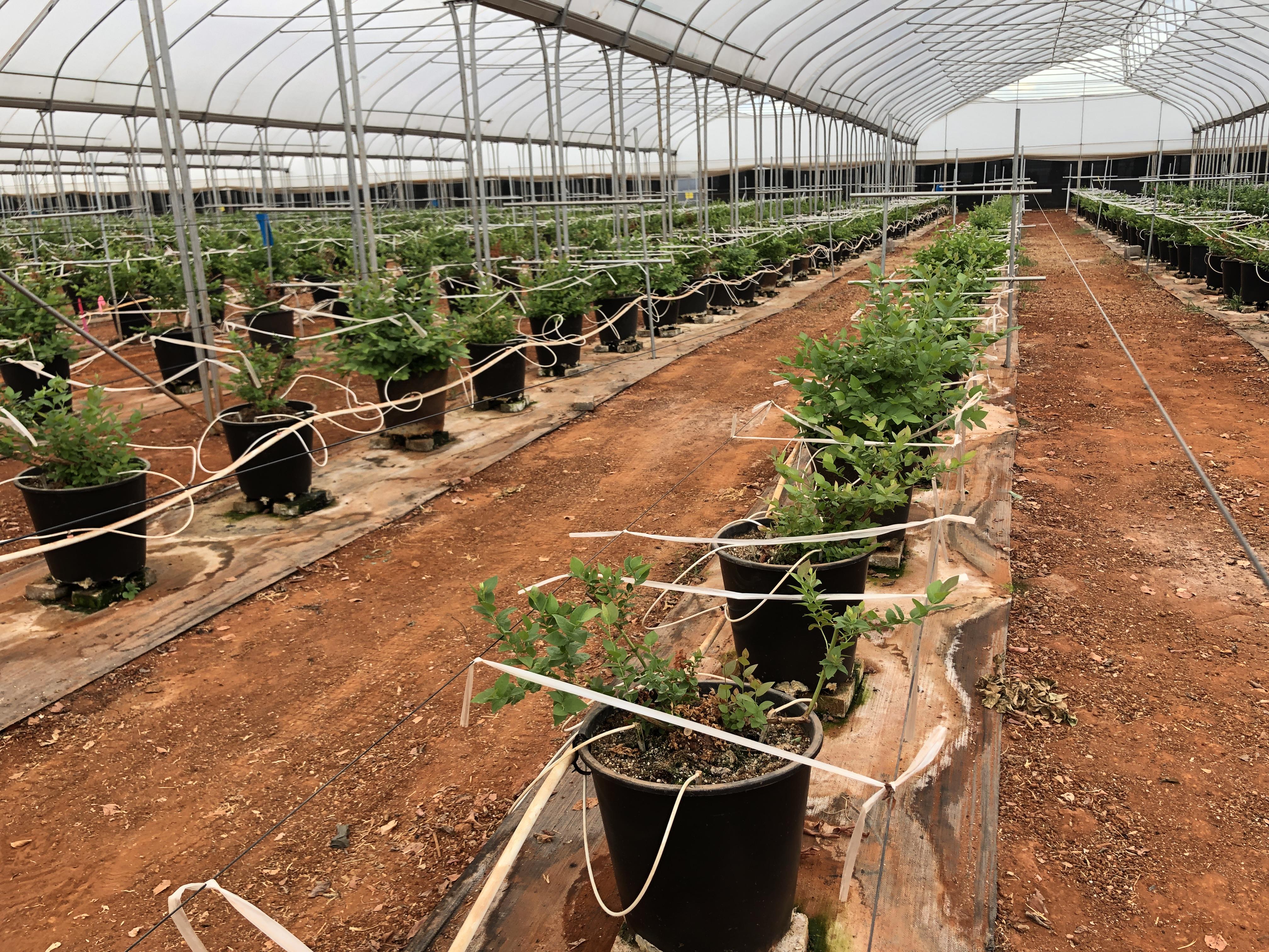 资本进驻后导致公司产生纠纷,公司引入资本发生股东纠纷