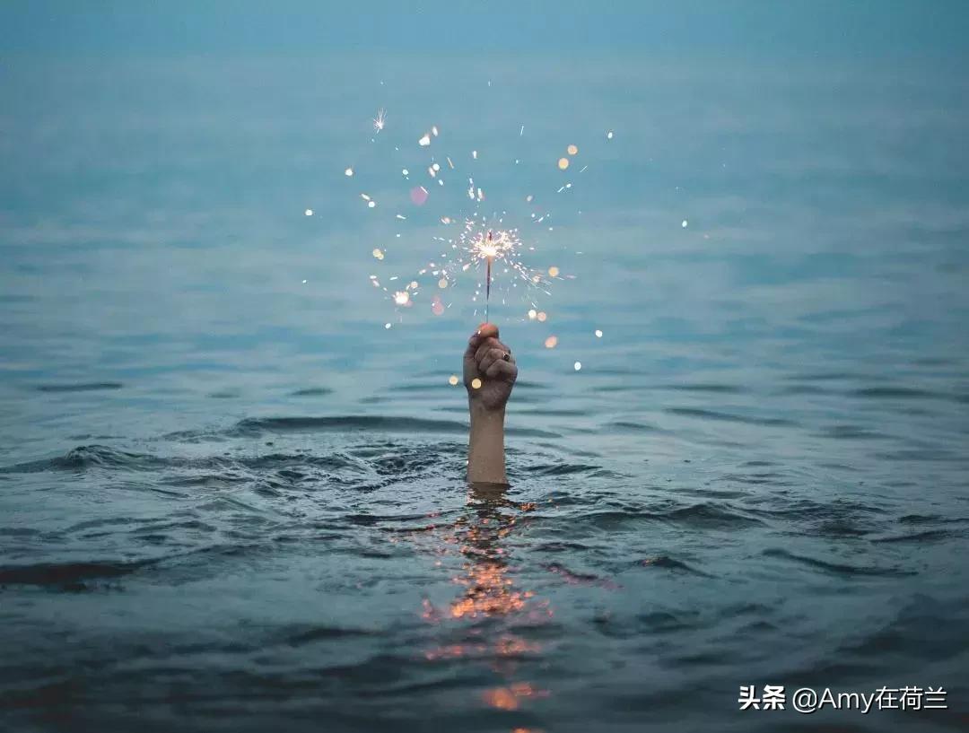 荷兰牛栏白金版分段,荷兰牛栏和荷兰牛栏白金版的区别