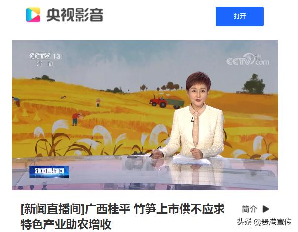 牛犇犇直播视频,牛犇直播人气