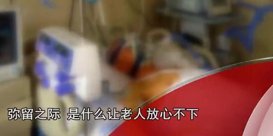 一老人死后遗物发现50个徽章,老人临死前才说出隐藏60年的秘密