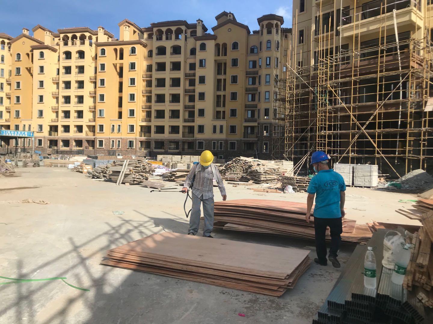 珠海市白蚁灭治服务,珠海市白蚁消杀技术