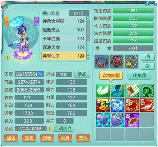 神武3电脑版教程,神武3血耐宠加点