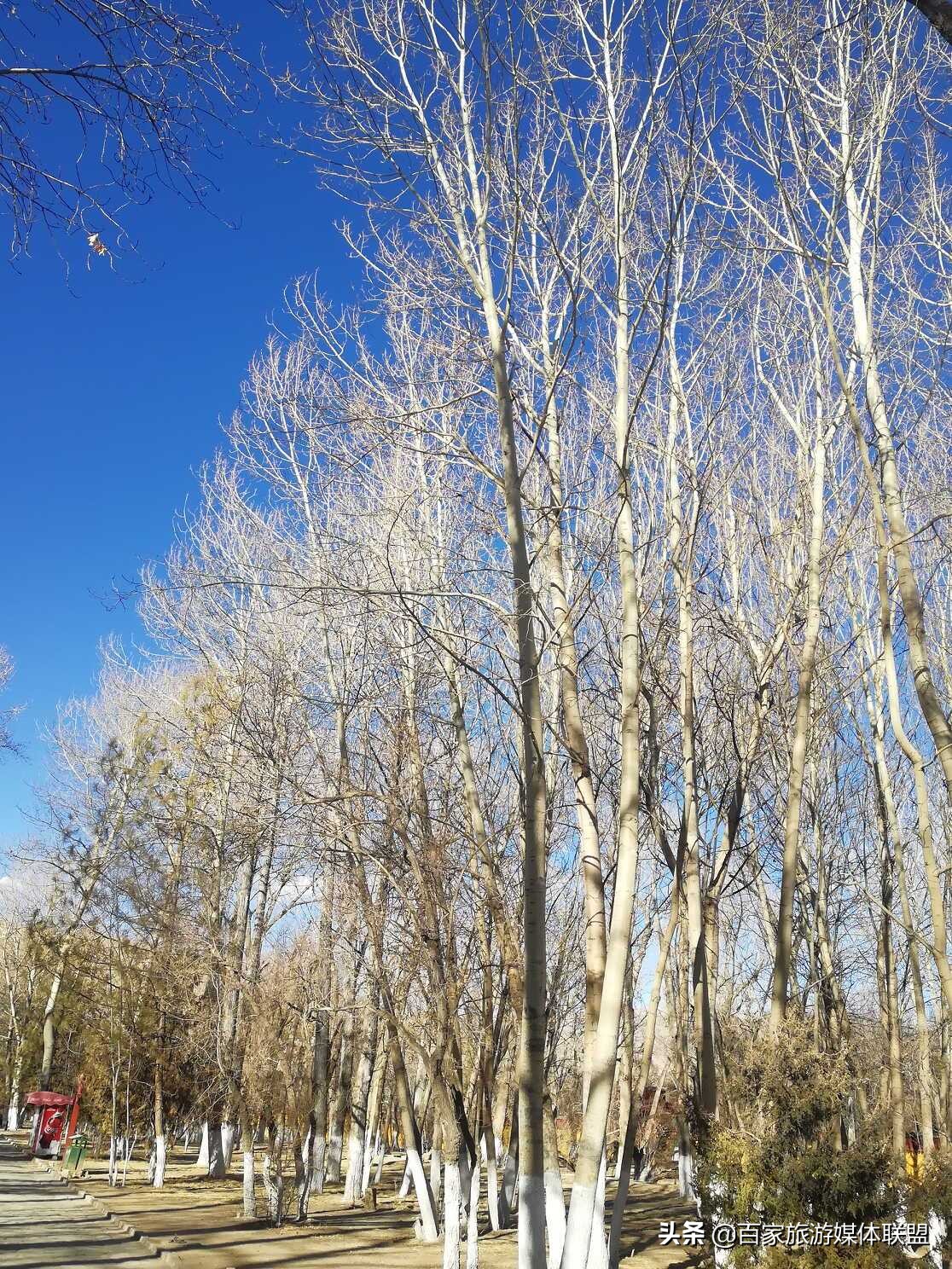 布达拉宫和罗布林卡的区别,罗布林卡和大昭寺