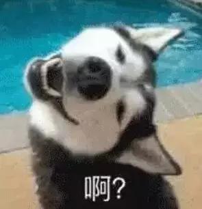 你所认识的英语老师,你觉得一个好的老师是什么样子的