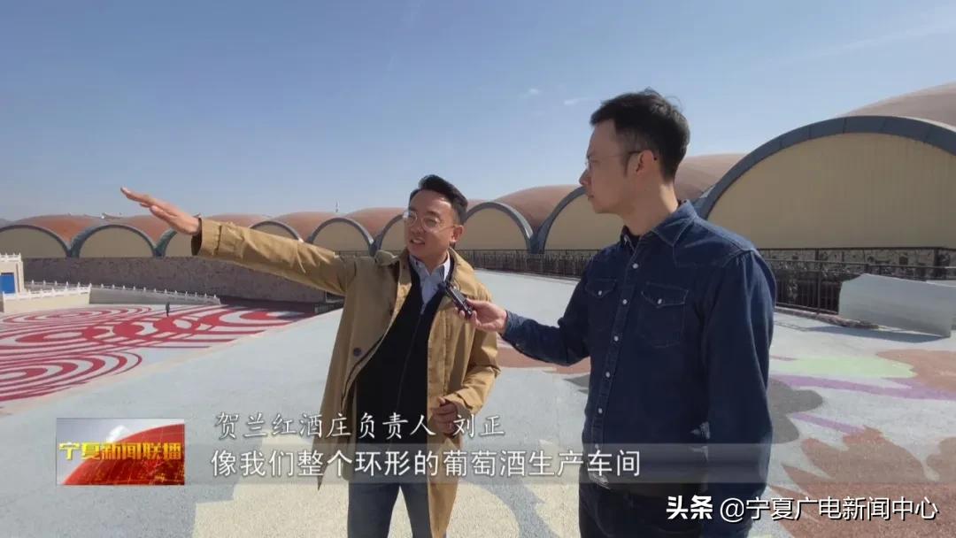 醉美宁夏红枸杞酒135ml,醉美宁夏酒