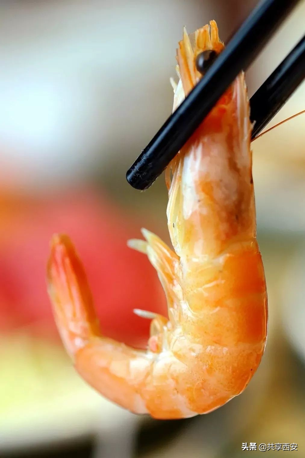 西安市凤城八路与文景路十字99元限时抢贝王府2-3人超值海鲜大餐