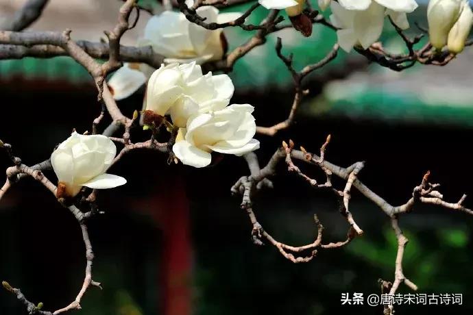 人生十首孤独绝美的诗词,闲适诗词50首