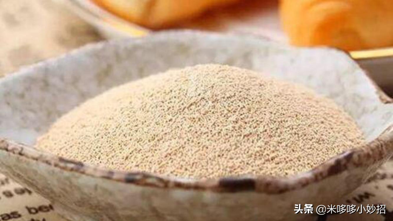 酵母粉和小苏打和泡打粉区别,酵母粉泡打粉和小苏打有什么区别