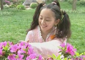 少年包青天2小蜻蜓与卢有涯,少年包青天2小蜻蜓身世之谜全集