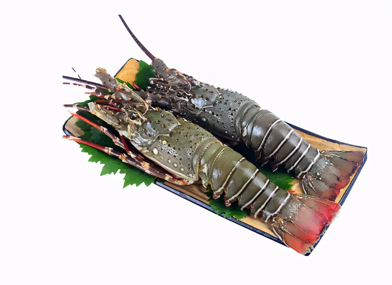 今日澳大利亚铁矿石最新价格,澳大利亚铁矿石价格上涨