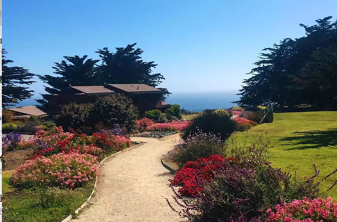 美国补办护照对绿卡有影响吗,在美国护照弄丢了怎么办