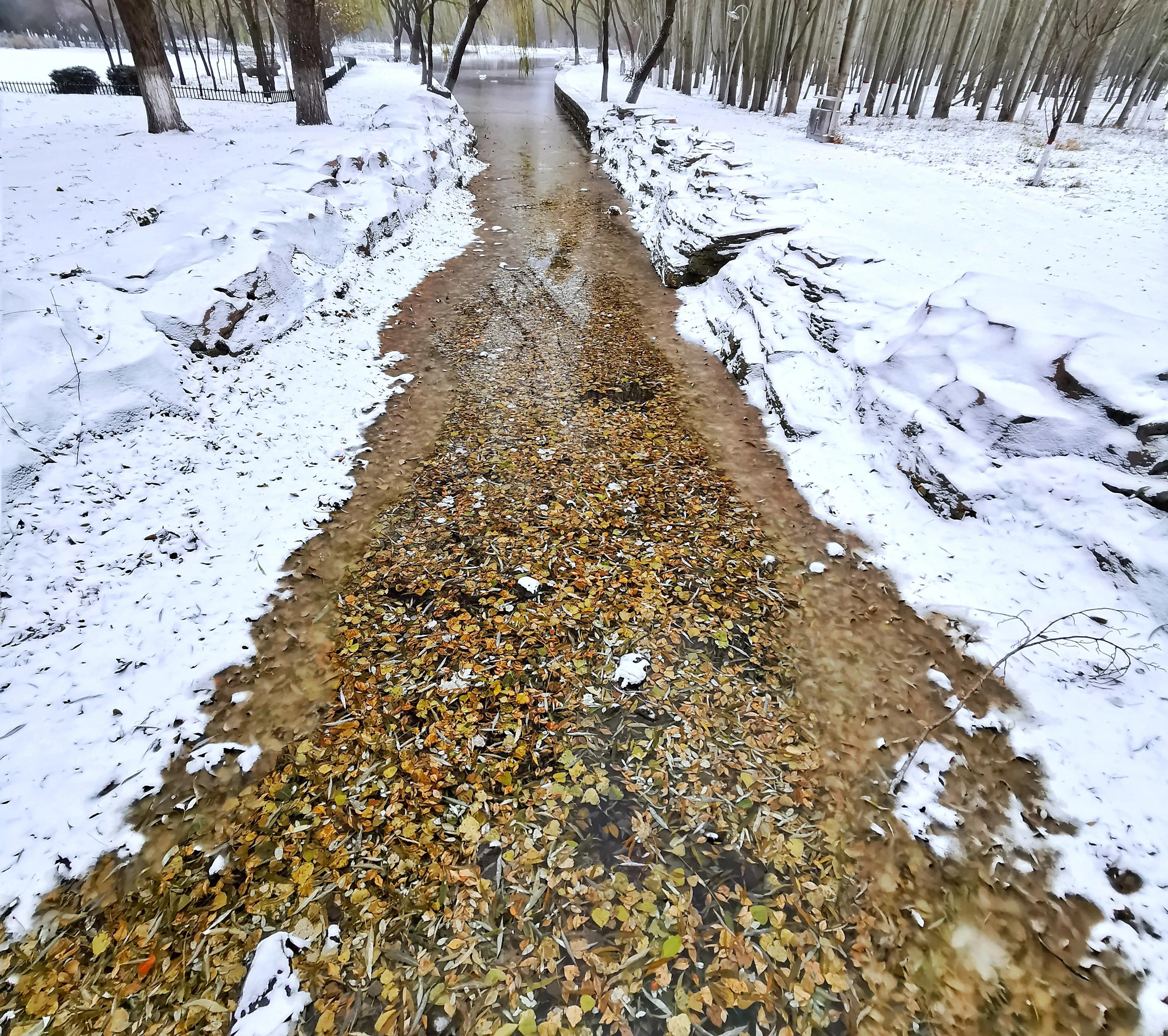 包头清雪,包头初雪航拍