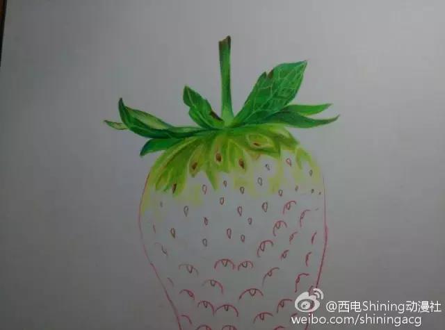 彩铅写实教学草莓,草莓蛋糕用彩铅怎么画
