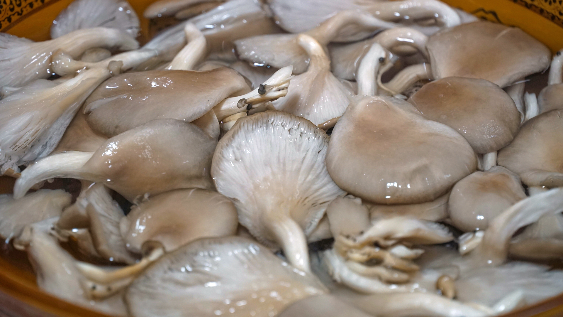 大基础低脂减肥餐菜谱,吃着就能瘦的减肥食谱