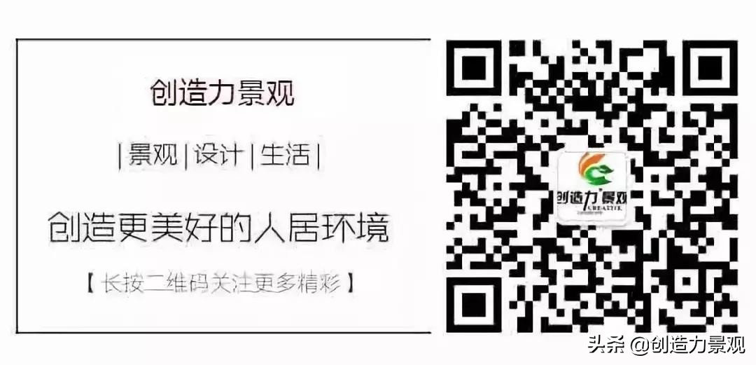 了解一下锦鲤鱼的饲养方法,养小锦鲤鱼的技巧和方法
