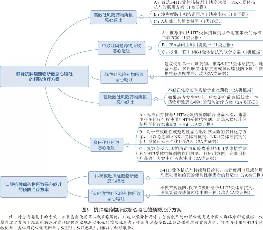 肿瘤患者恶心呕吐怎么办,肿瘤放疗后恶心呕吐怎么办