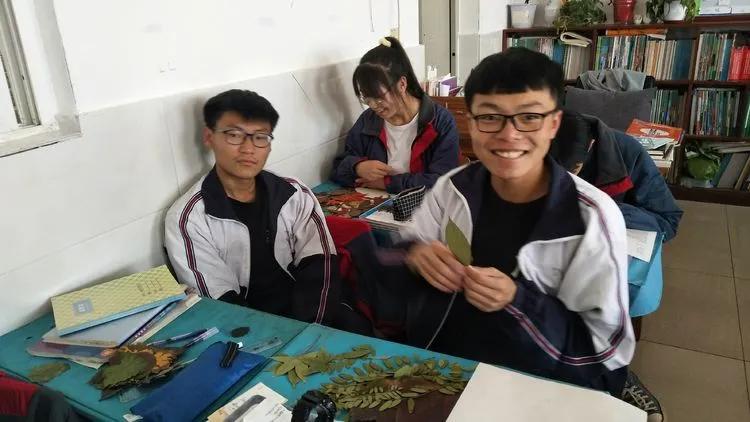 育才中学美丽校园,阜新市育才中学照片