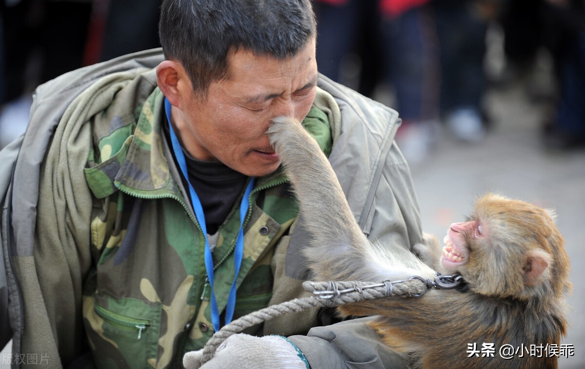 阅读题答题技巧记叙文,记叙类文本阅读题