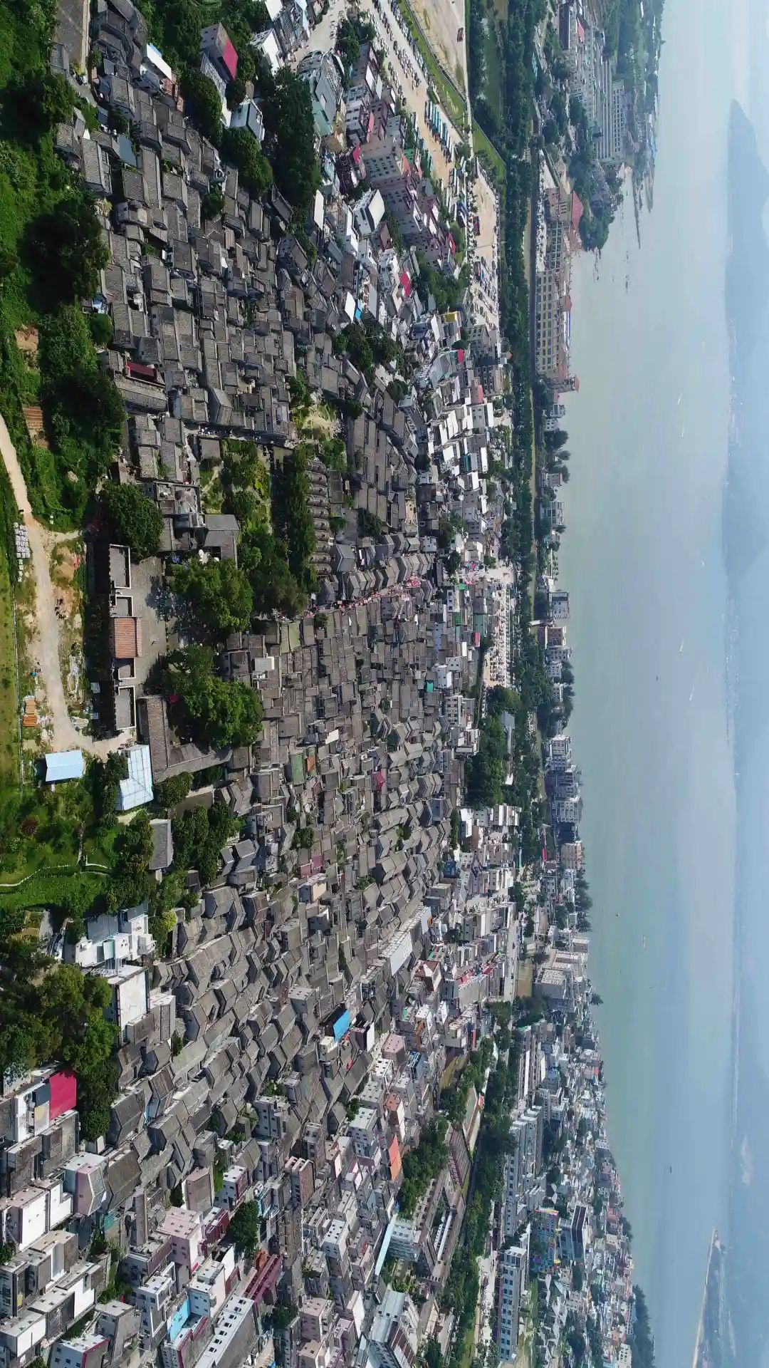 什么是深圳特产,什么是深圳银行