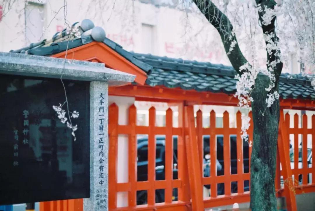 九州农家,九州山青水秀视频