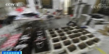 从国外买lv能带回来吗,去国外买lv会给你多少东西