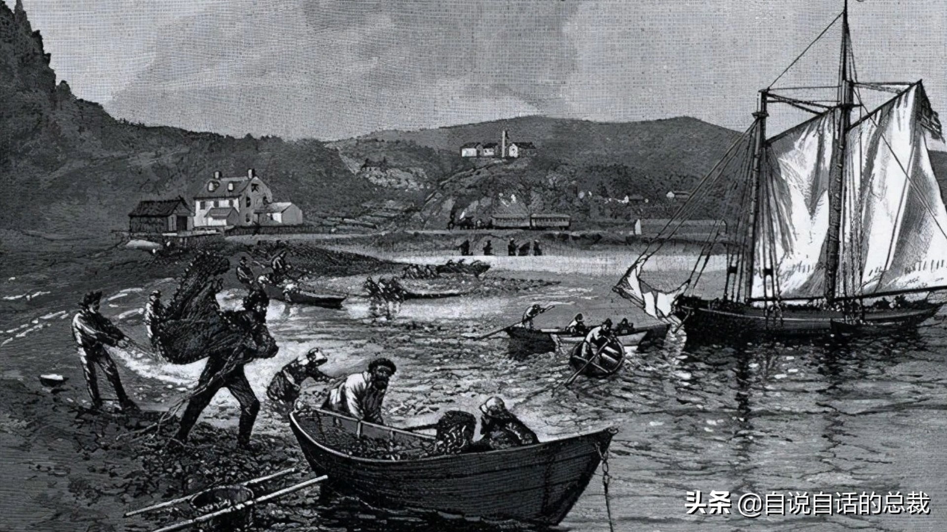 蚬蚌蛏的区别是什么,蚶子蛤蜊蚬子区别