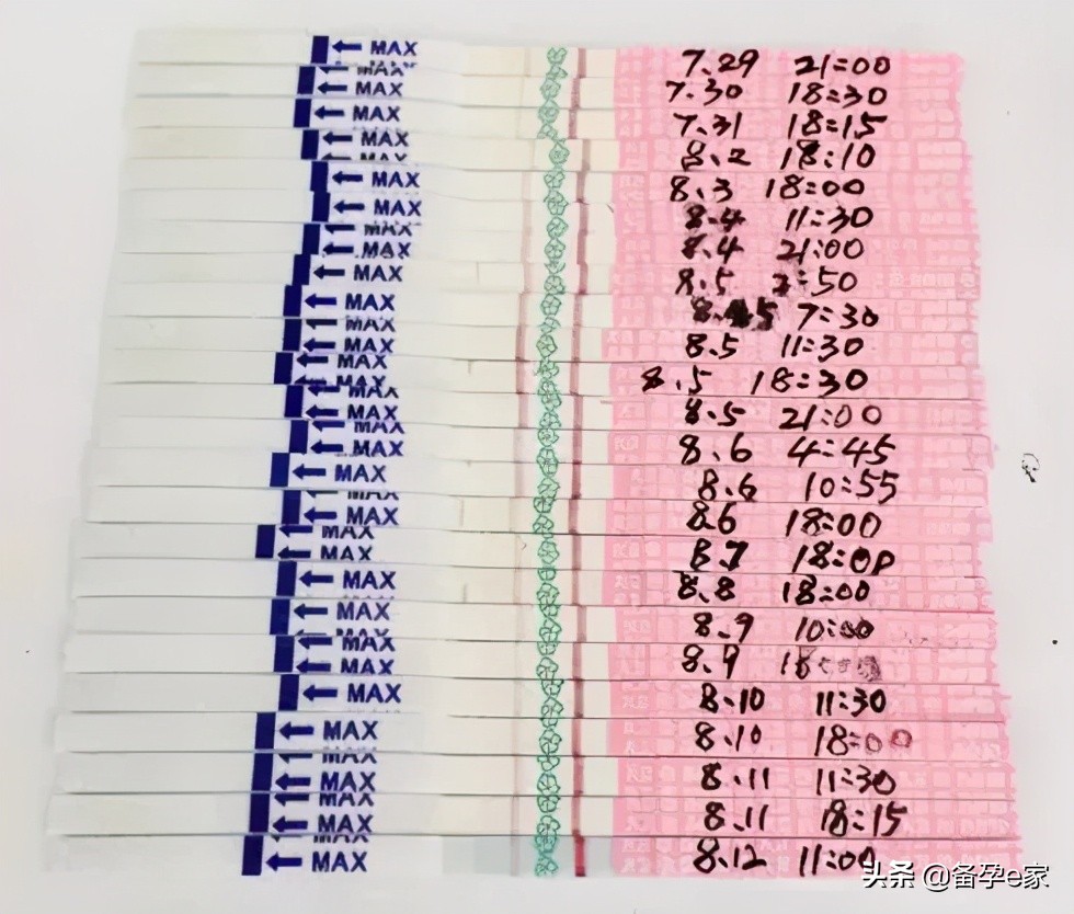 备孕用排卵试纸好还是顺其自然好,备孕排卵试纸大全图片