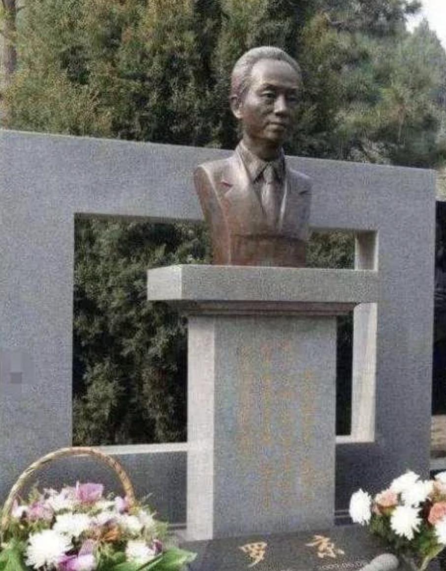 罗京去世十二年妻子改嫁富商,罗京去世十年妻子改嫁富商母亲